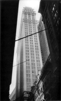 196.jpg