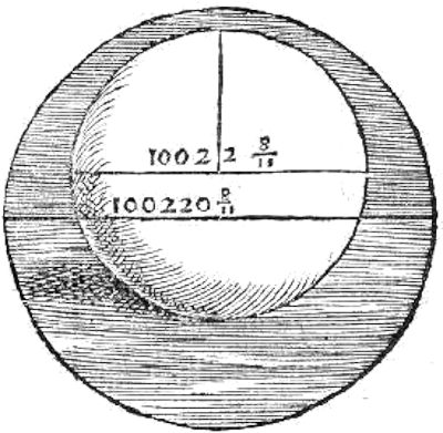 010.jpg