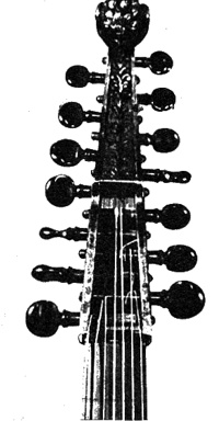 31a.jpg