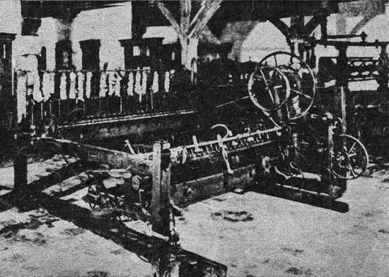 41a.jpg