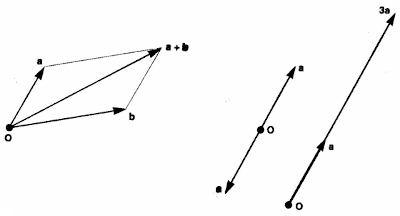 125.jpg