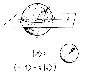 134.jpg