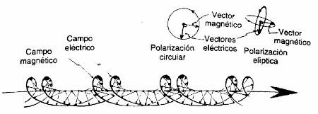 136.jpg