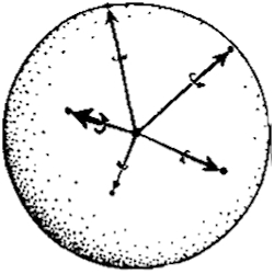 138.jpg