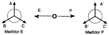 142.jpg