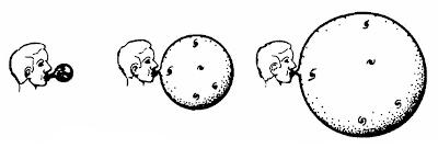 156.jpg