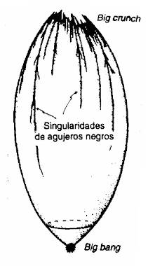 164.jpg