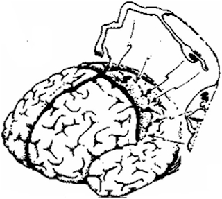 184.jpg