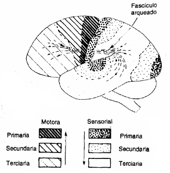 186.jpg