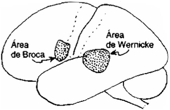 187.jpg