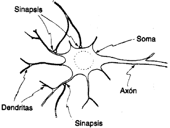 190.jpg