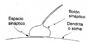 191.jpg