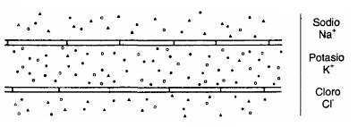 192.jpg