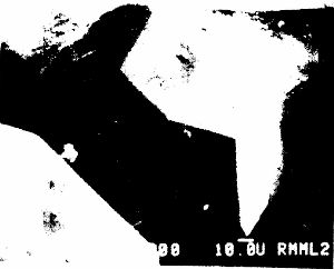 203.jpg