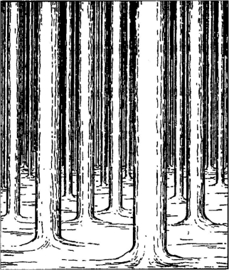 020.jpg