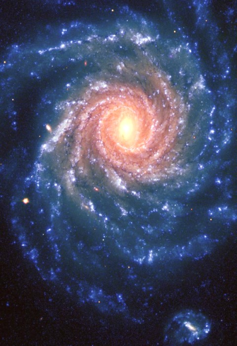 lamina011.jpg