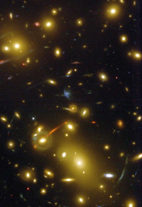 lamina012.jpg