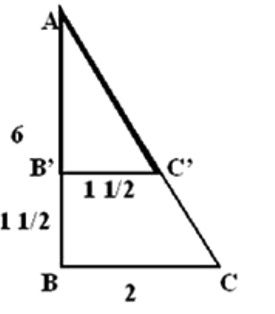 86.jpg