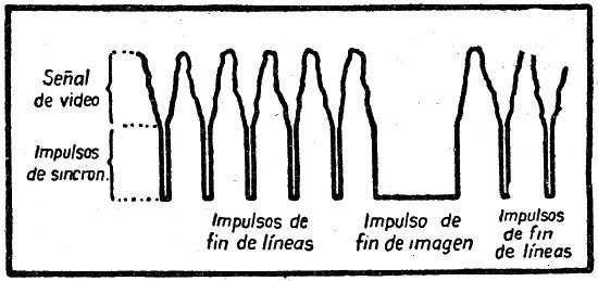037.jpg