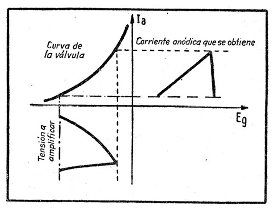 042.jpg