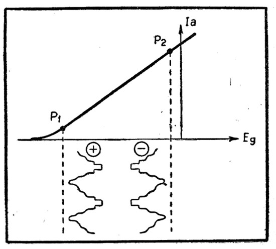 101.jpg