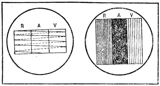 139-140.jpg