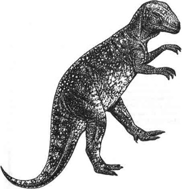 114.jpg