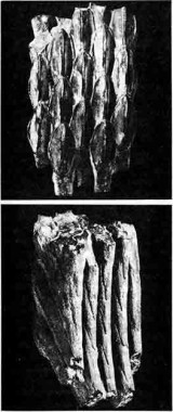 124.jpg