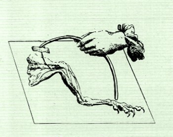 capitulo06-004.jpg