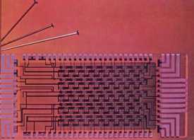 Células cerebrales de un computador