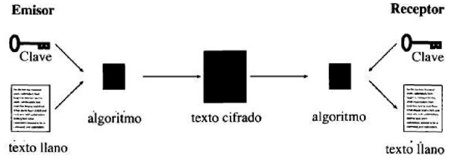 fig04.jpg
