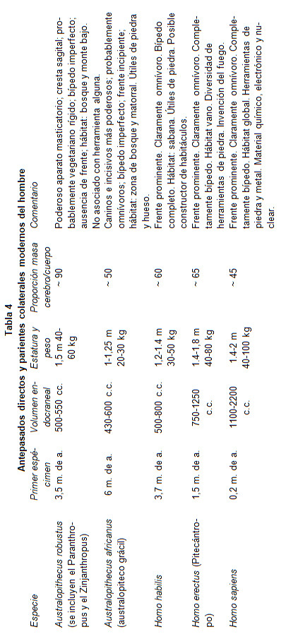 tabla04.jpg
