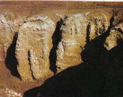 098a.jpg