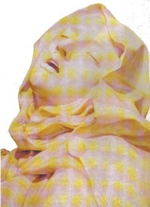 107a.jpg