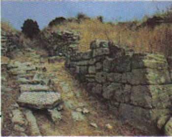 120b.jpg