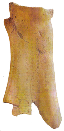 125.jpg