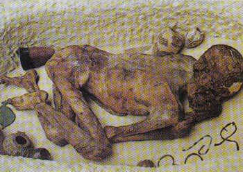 130b.jpg