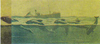 162.jpg