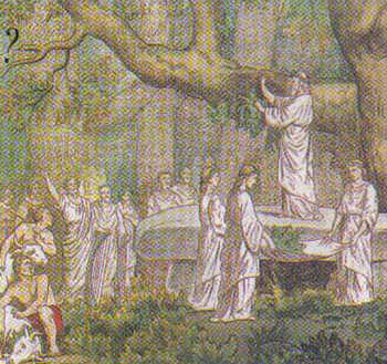 163a.jpg