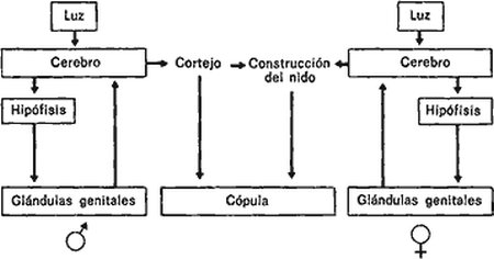 102.jpg