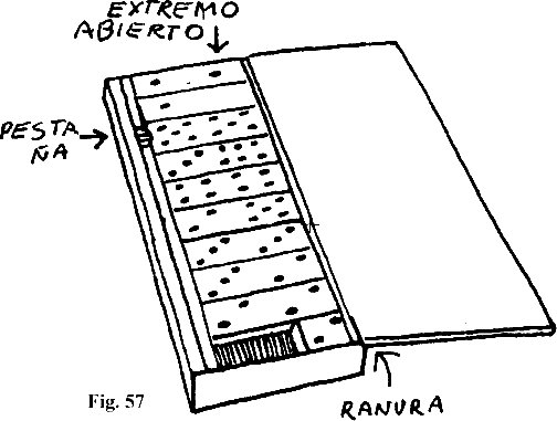 033.jpg