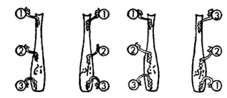 149.jpg