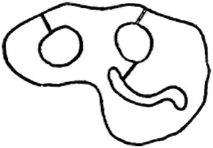 157.jpg