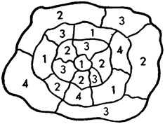 166.jpg