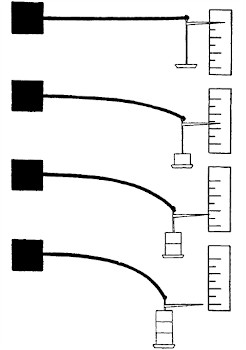 174.jpg