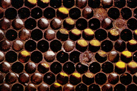 091b