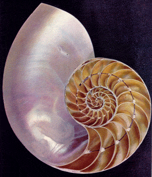 092