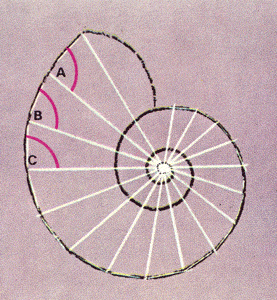 093c
