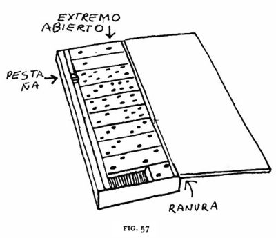 57.jpg