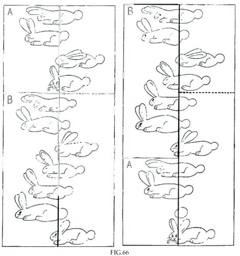 66.jpg